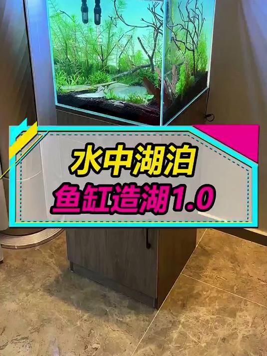 在鱼缸里造一个“湖”，水中湖泊鱼缸~