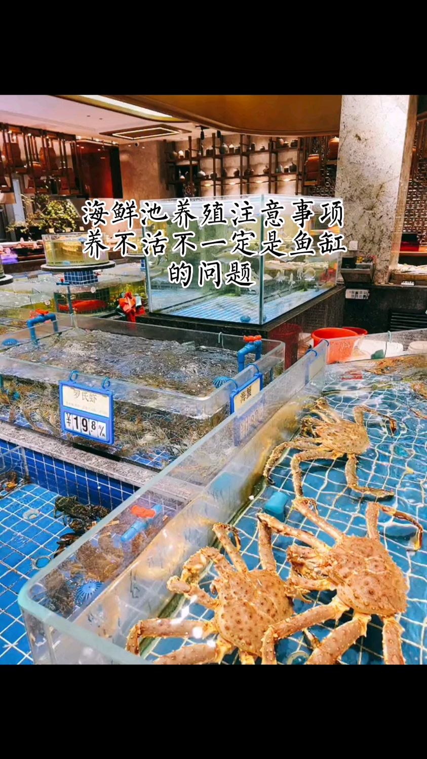 海鲜养殖注意事项?海鲜池-海鲜鱼缸制作-酒店海鲜鱼缸-饭店餐厅海鲜鱼缸-鱼缸厂家制作