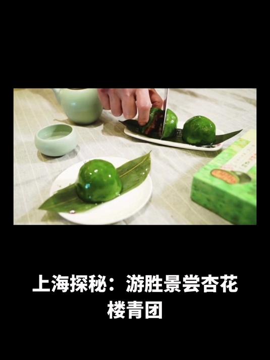 “上海探秘:游胜景尝杏花楼青团,传统糕点之妙”