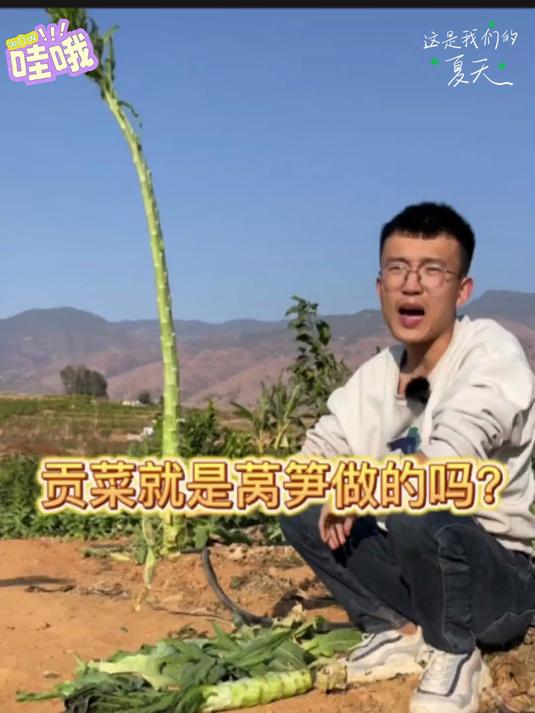 给你们看看我们湖南的下饭菜