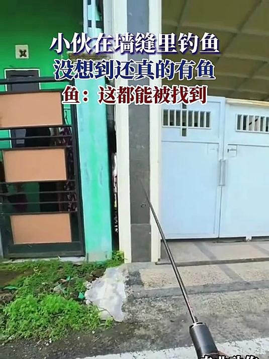 小伙在墙缝里钓鱼,没想到还真的有鱼,鱼:这都能被找到