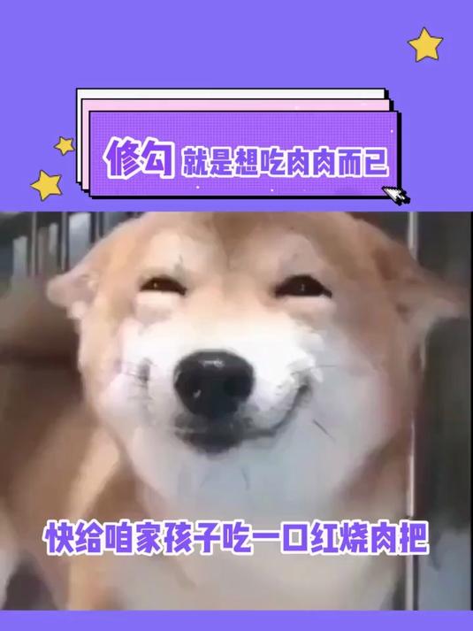 修勾就是想吃肉肉而已