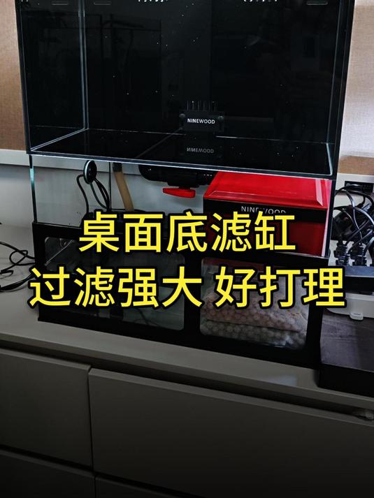 过滤强大的桌面底滤鱼缸,好打理,放家里养鱼很省心