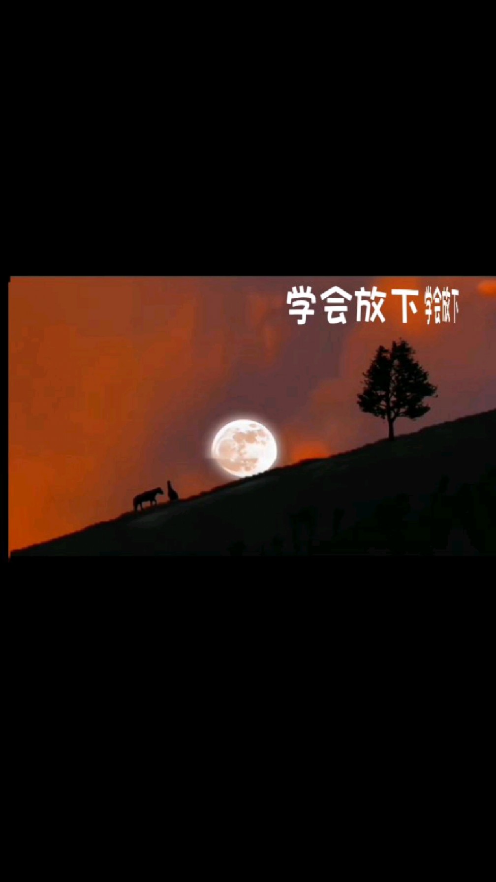 唯美古风壁纸 文字壁纸 每日金句《学会放下》
