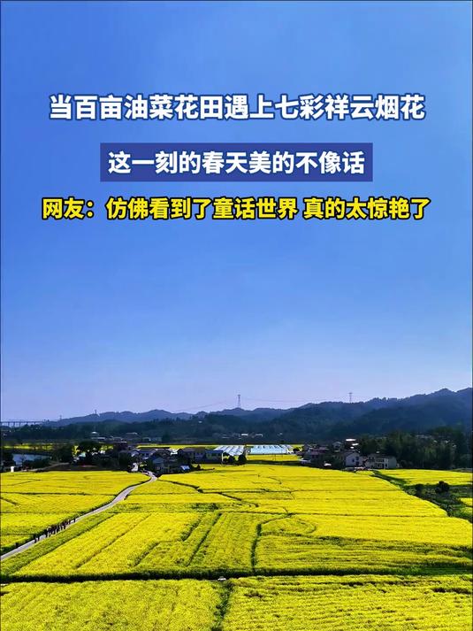 #花满春城我代言#当百亩油菜花田遇上七彩祥云烟花,这一刻的春天美的不像话