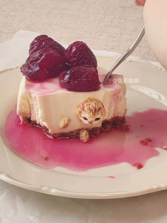 猫meme美食,变成樱桃芝士蛋糕了喵
