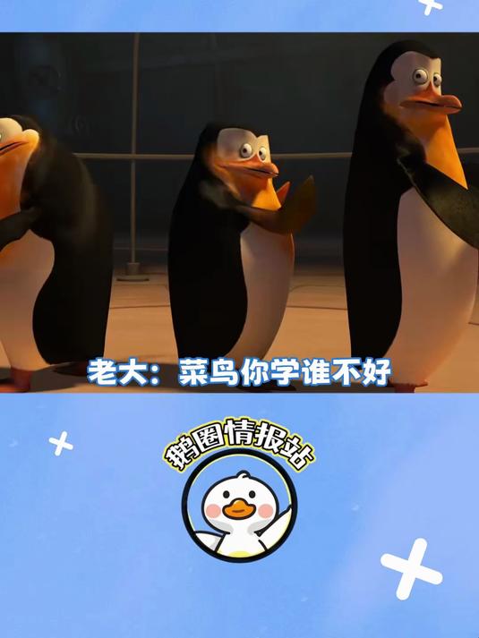 马达加斯加的企鹅:菜鸟:老大救命啊
