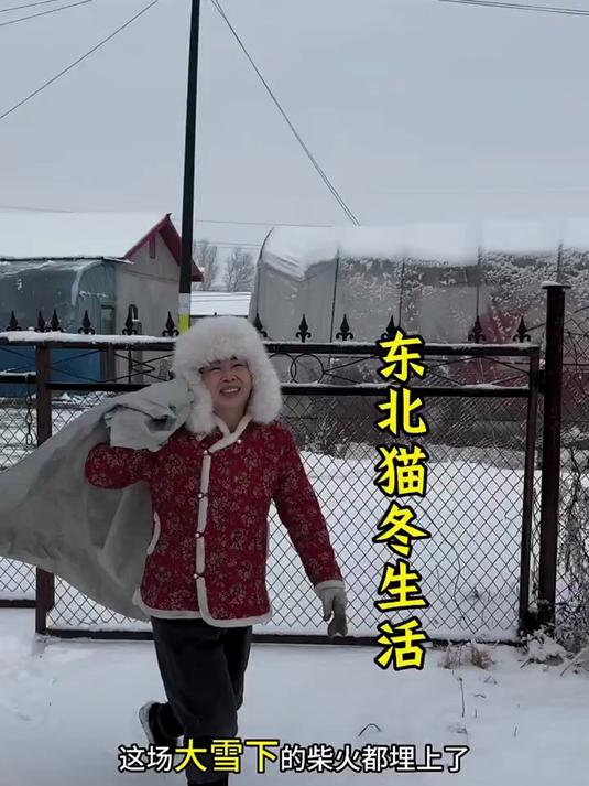东北的猫冬生活丰富多彩 下大雪杀鸭子 中午4个菜 简单的生活