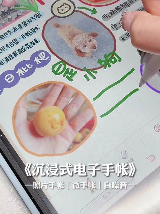 手帐vlog｜电子照片手帐｜白噪音声控手帐