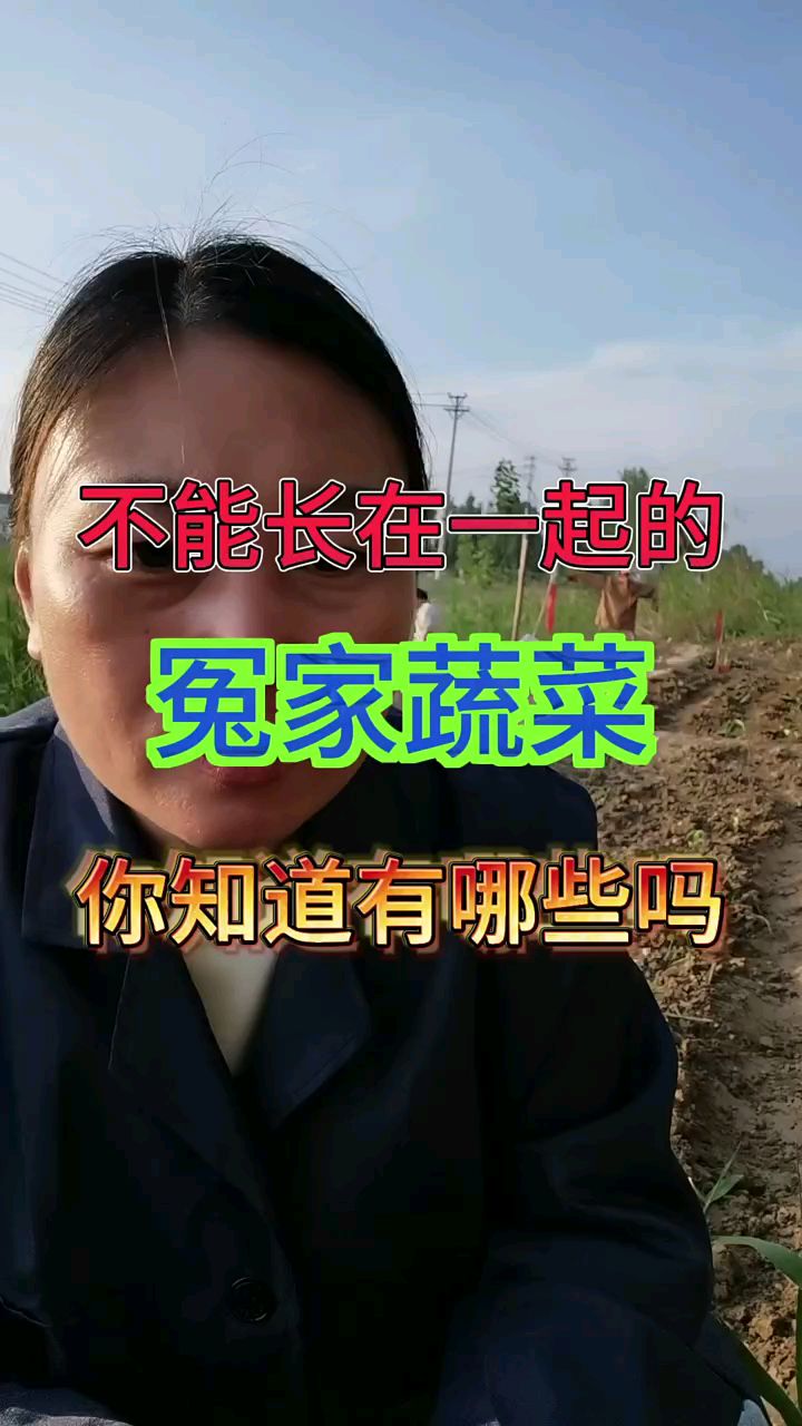 不能种在一起的蔬菜