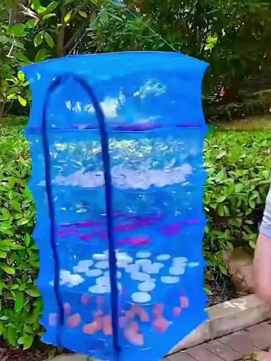 一秒折叠省空间!多层防虫晒网,晾衣晒果统统搞定!