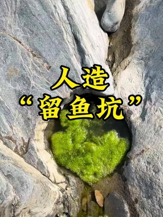 户外淘金：偶遇淘金前辈人造“留鱼坑”，又是收获满满的一天！#真实户外# #淘金# #今日金