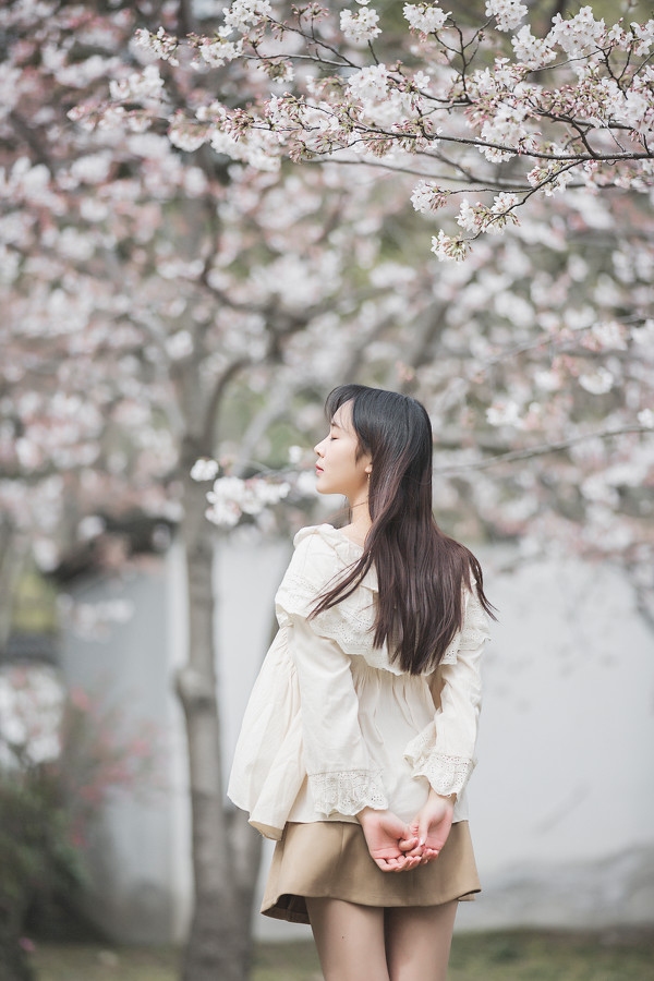 图片[23]-三生三世，百里樱花-六色网