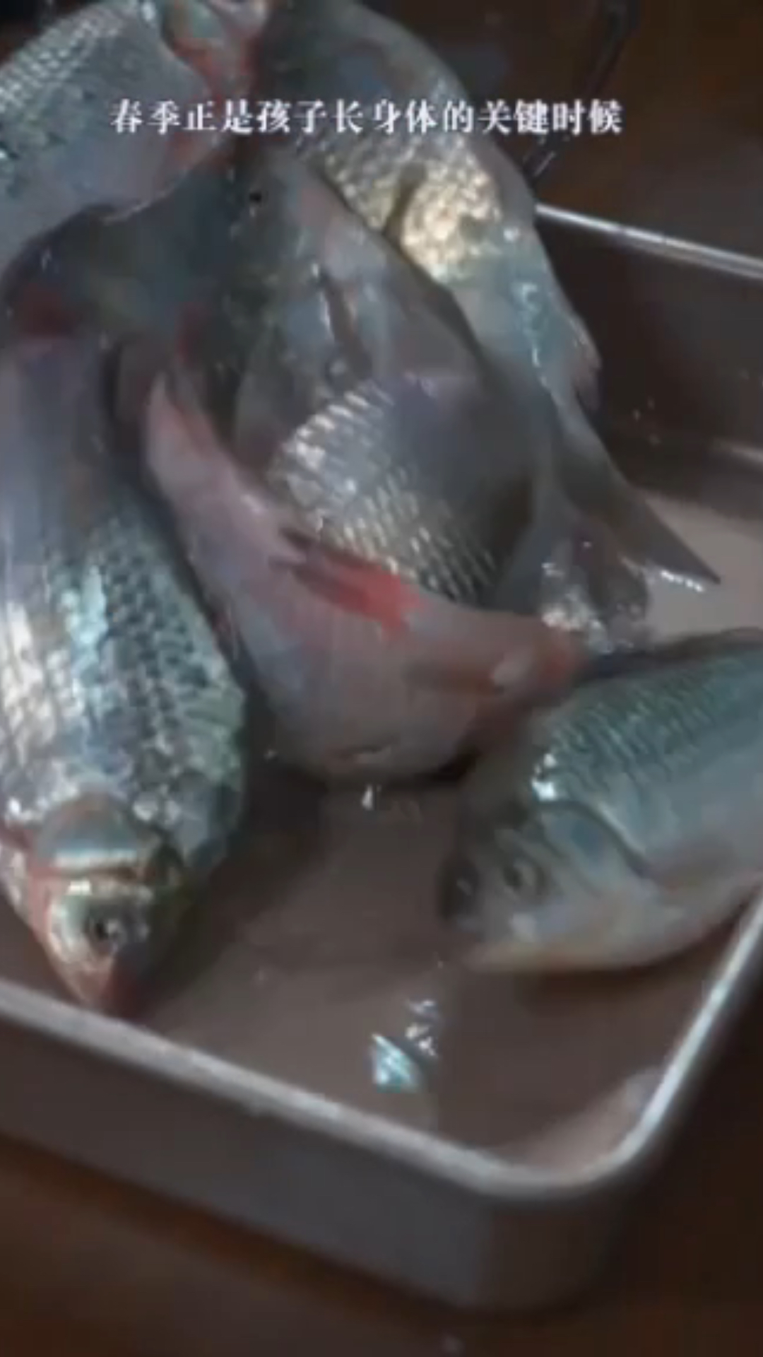 春季每周给孩子煲两次鲫鱼豆腐汤好吃又营养
