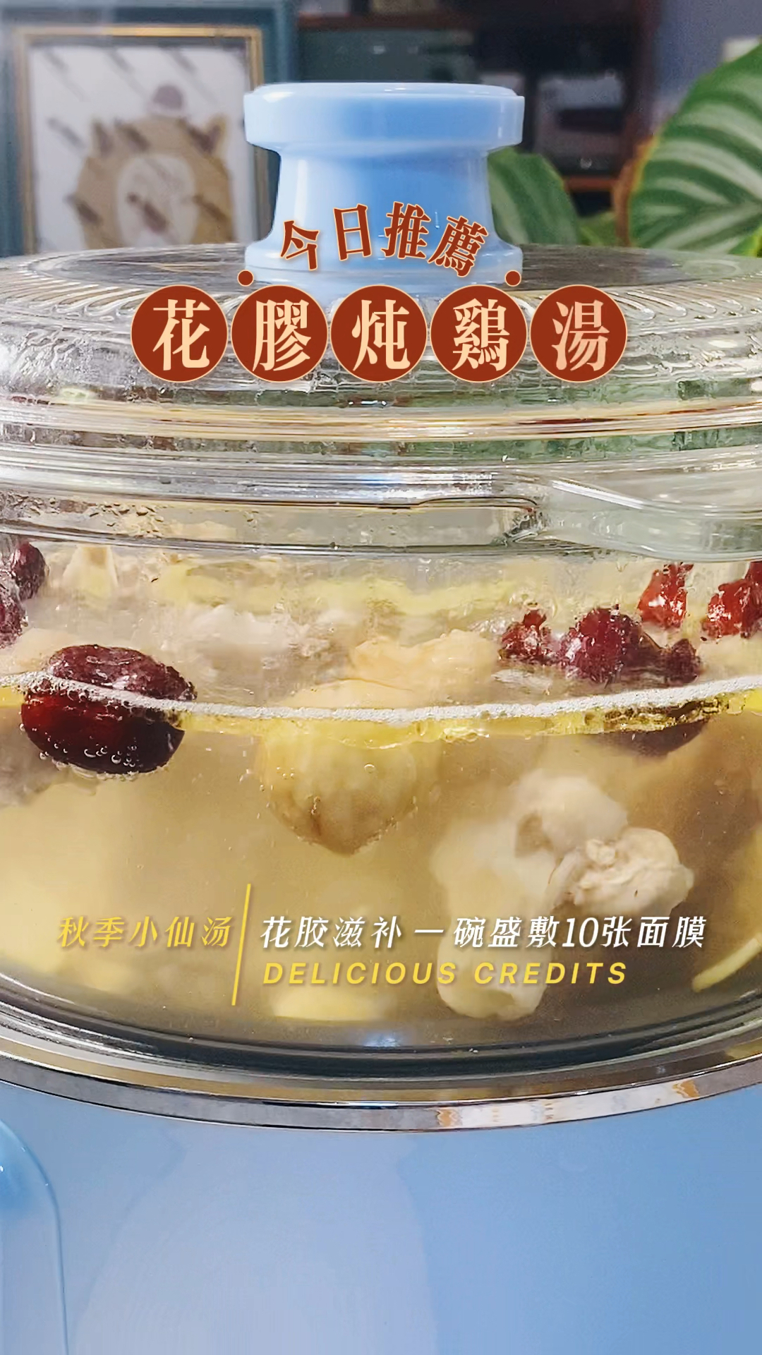 秋日小仙汤系列|花胶炖鸡汤|一碗胜敷10张面膜