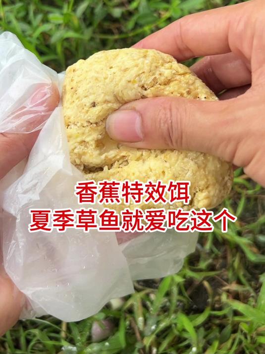 问老大爷要来的配方，钓草鱼确实好使