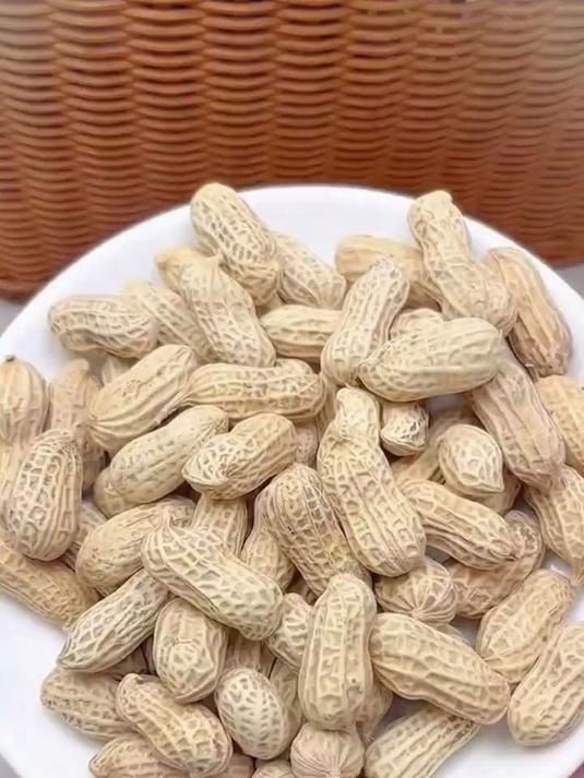 2025 新货真水煮花生,龙岩日晒工艺 500g,办公小食下酒菜两相宜