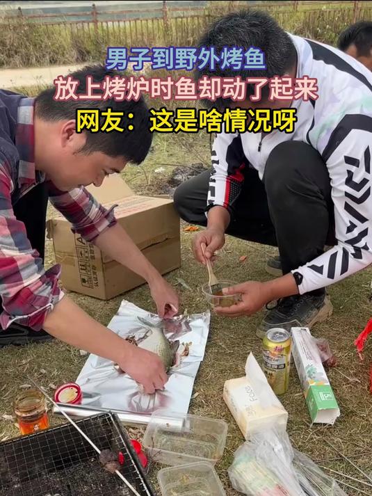 男子到野外烤鱼,放上烤炉时鱼却动了起来
