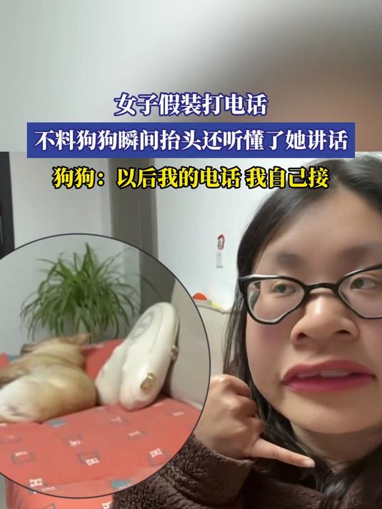 女子假装打电话,不料狗狗瞬间抬头还听懂了她讲话