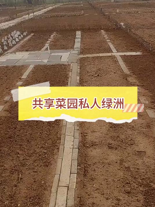 秦皇岛共享菜园 打造你的私人田园梦想