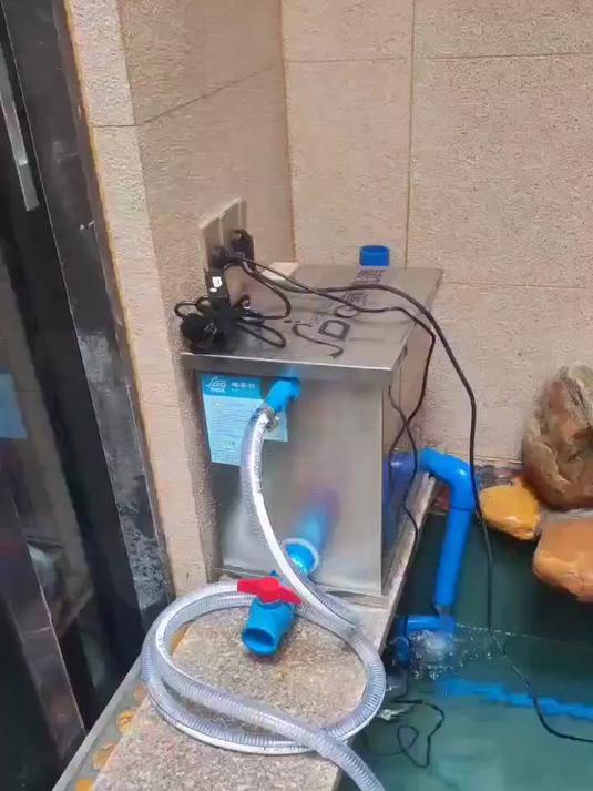 别墅庭院假山鱼池，过滤设备装在庭院外边的绿地上，很美观