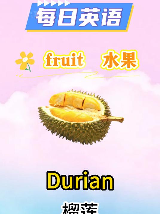每日英语 水果 Durian
