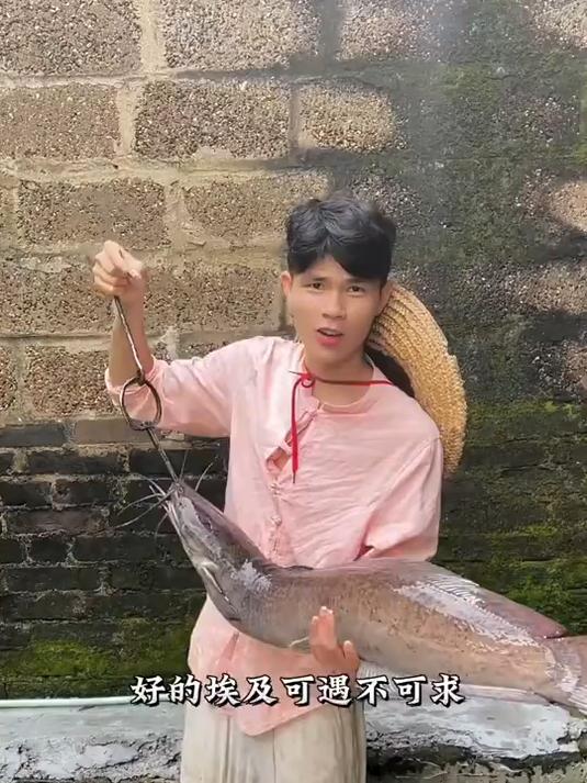 江里边捉到十几斤“带花纹的埃及鲶鱼”做鱼生