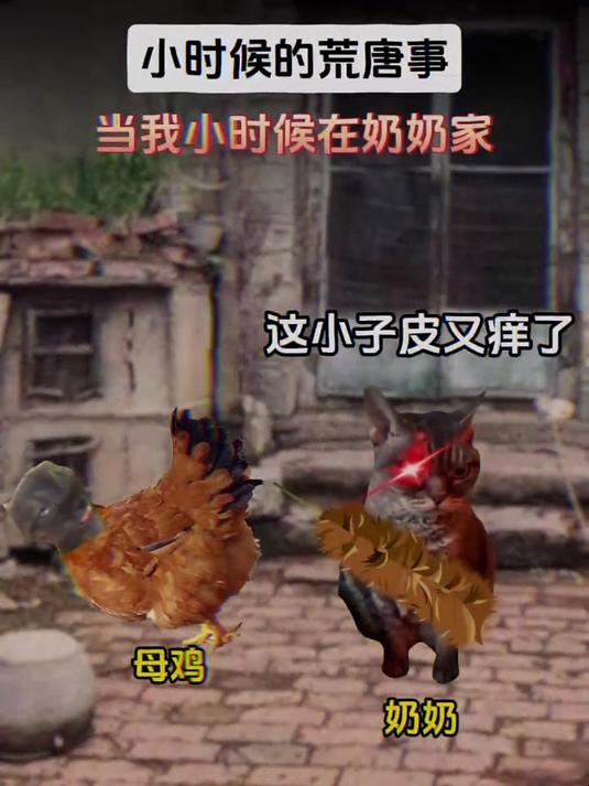 下蛋的母鸡和抽象的我