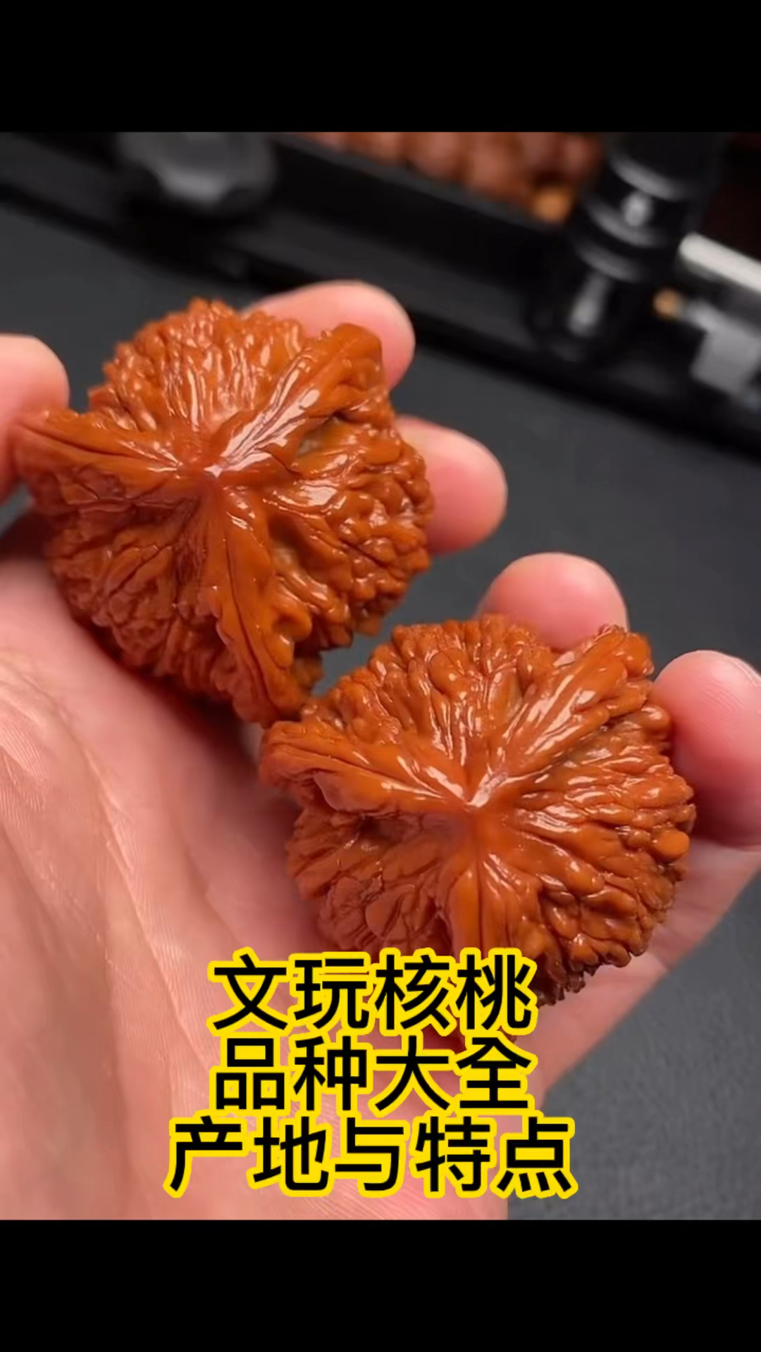 文玩核桃品种大全,产地与特点介绍!