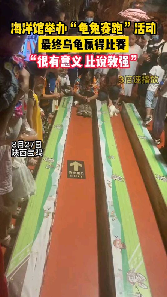 陕西宝鸡。海洋馆举办龟兔赛跑活动,最终乌龟赢得比赛!拍摄者:对孩子来说很有意义