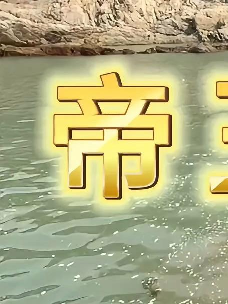 5台大炮狂轰一千多平米的大水坑，鱼货捡到手软