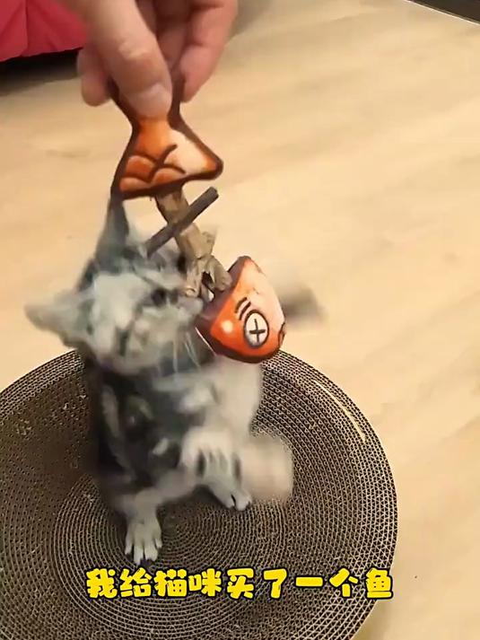 宠物猫咪奶猫玩具可爱卡通仿真烧烤鱼骨头