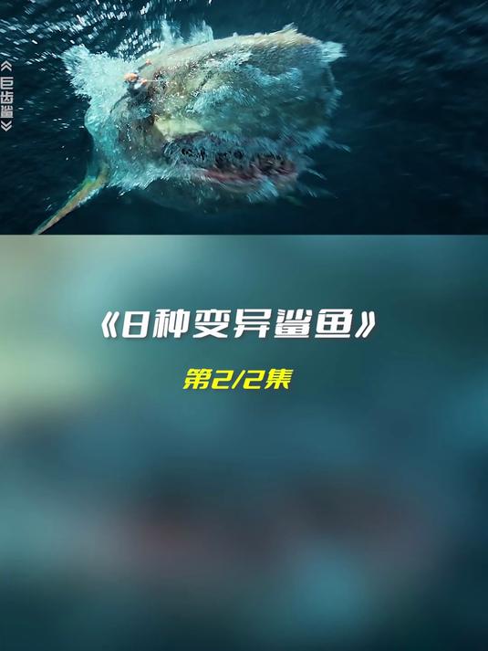 如果8种变异鲨鱼有段位？2