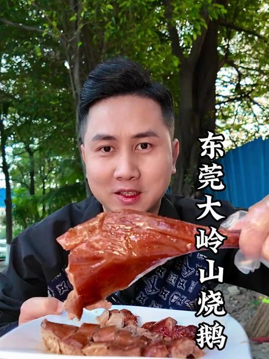 东莞大岭山烧鹅，用荔枝柴的烧鹅皮脆肉嫩，一口爆汁绝了