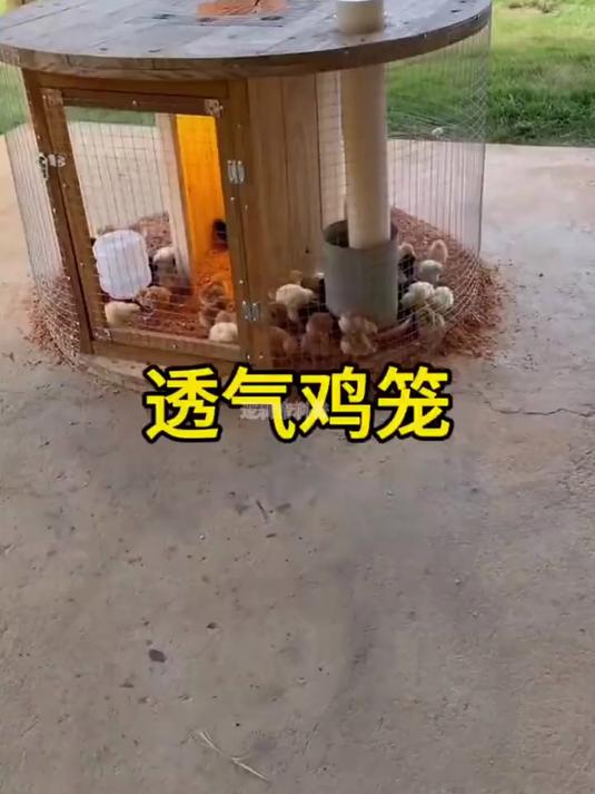 360度全景透气鸡笼子