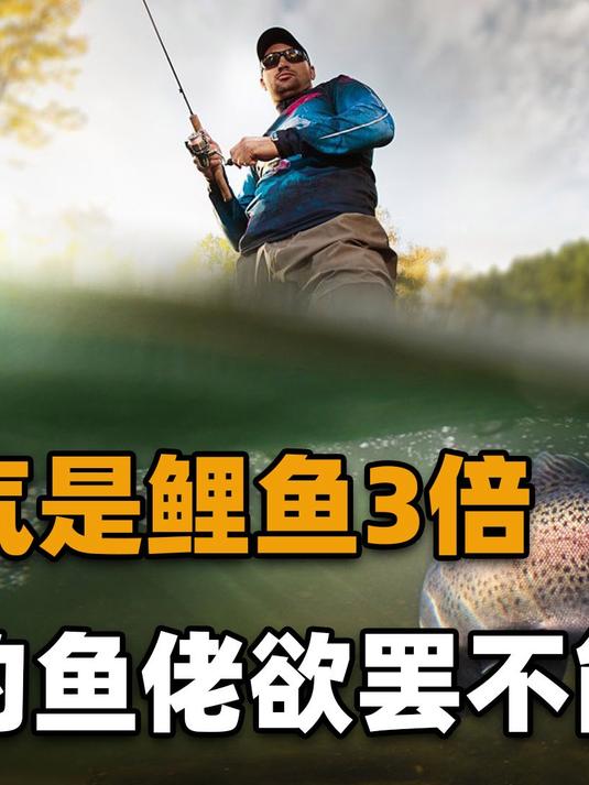钓友总叫它“蠢鱼”,长得酷似草鱼,过去河里常见,如今野生难觅