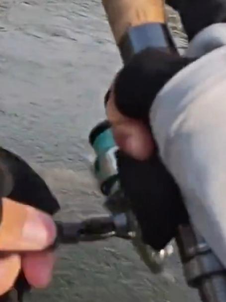路亚军鱼之字狗假饵,超浅溪流草丛里居然藏着斤把重的溪流精灵