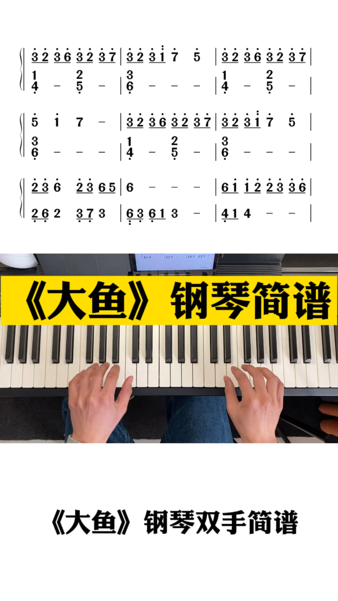 《大鱼》钢琴双手简谱