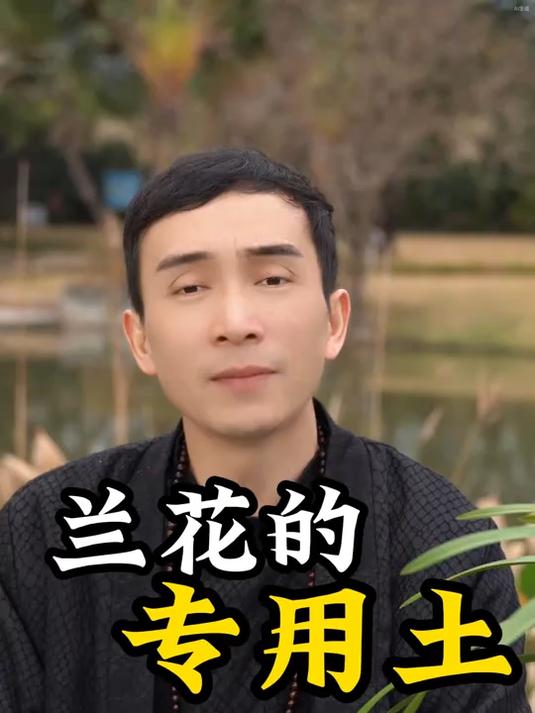 养兰花,到底有没有所谓的专用土!