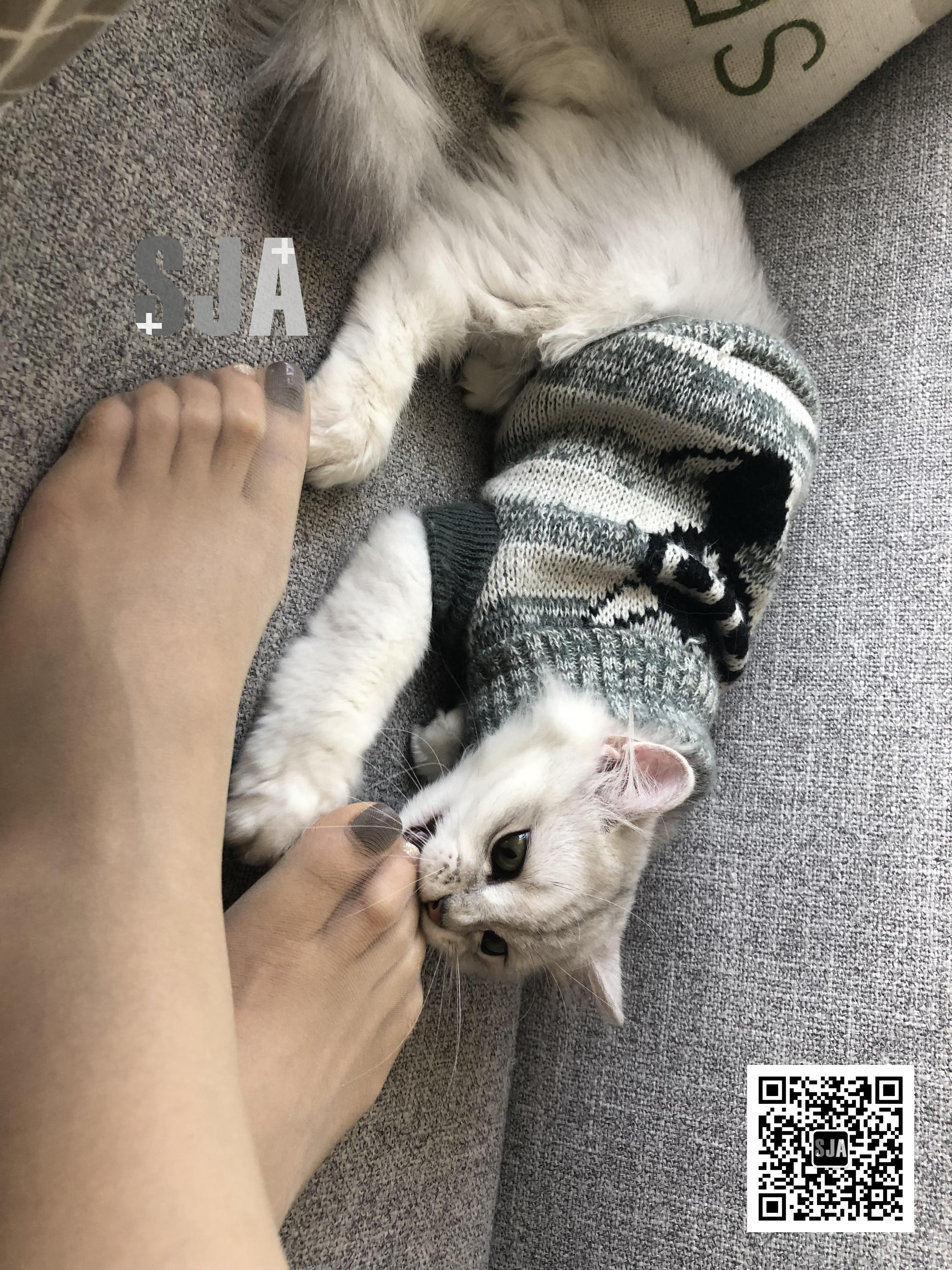 图片[10]-[SJA佳爷]闺蜜视角 NO.013 喵 [60P+81M]-六色网