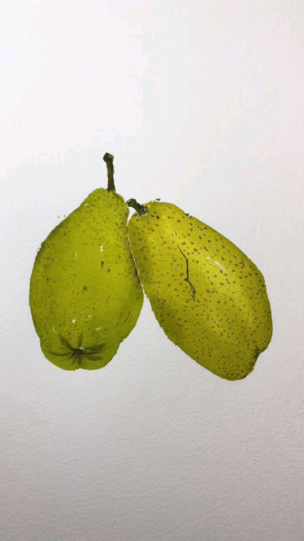 国画水彩水果篇