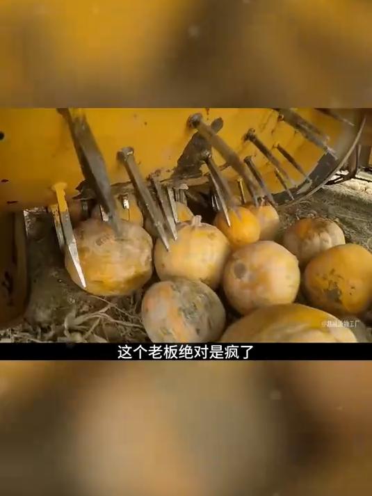 早八人续命早餐！酸奶碗撒南瓜子仁，5 分钟搞定精致摆盘