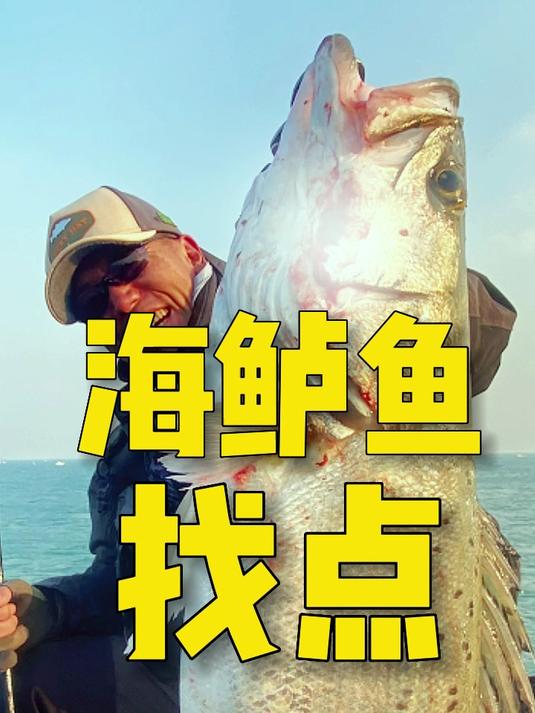 海鲈鱼钓技