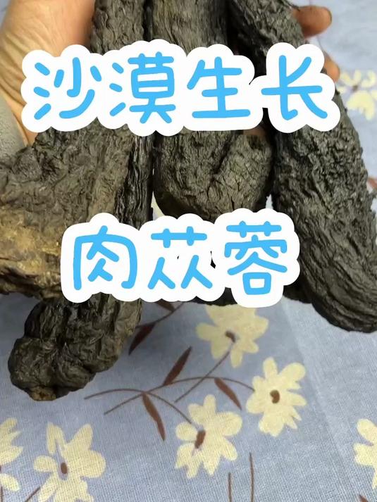 肉苁蓉,主要生长在沙漠里