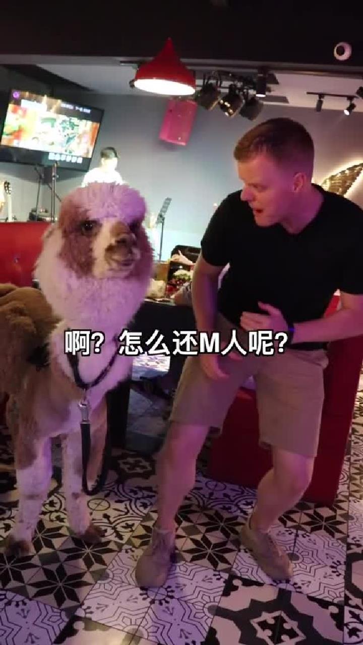 猜猜它跟我说了什么?大连美食小龙虾