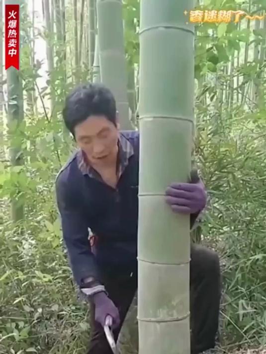 蒸饭木桶,木桶饭专用桶杉木制木饭桶蒸米饭甑子家商用