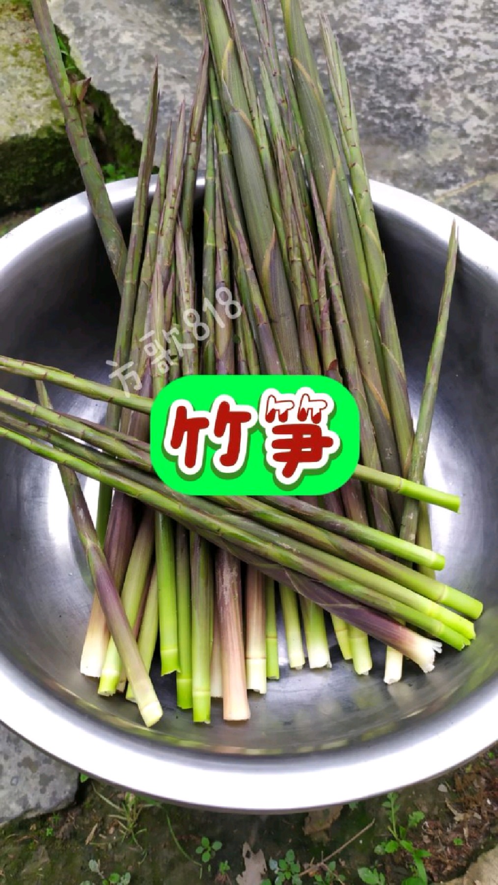 新鲜的小竹笋,和腊肉炒非常的好吃,朋友你吃了吗