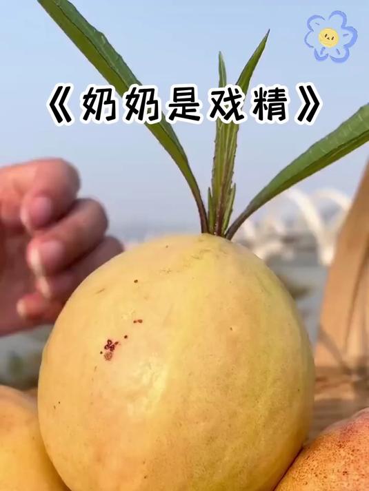 奶奶爱演戏，妈妈做菜时邻居来她坐破板凳吃咸菜馒头称被我们苛待