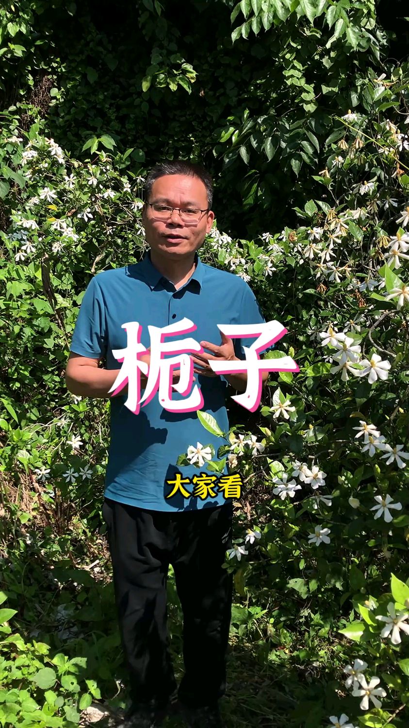 为什么方便面的面饼里会有栀子黄？@微信创作者 @微信时刻