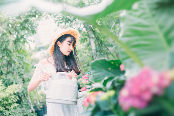 图片[12]-花圃日记-六色网